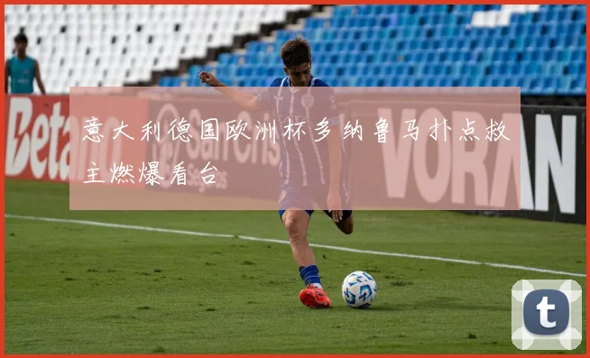 意大利德国欧洲杯多纳鲁马扑点救主燃爆看台
