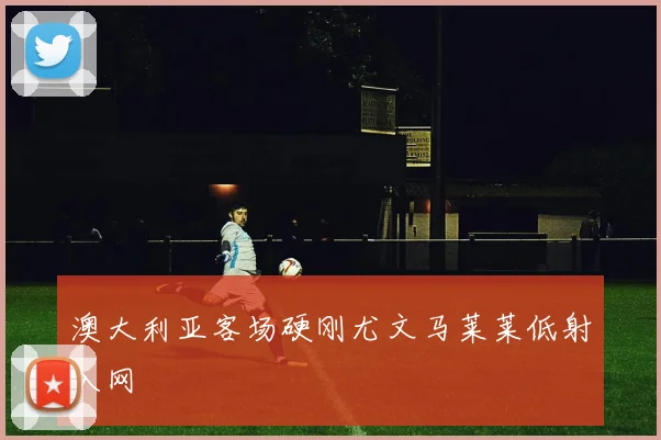 澳大利亚客场硬刚尤文马莱莱低射入网