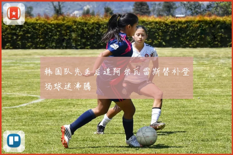 韩国队先丢后追阿尔瓦雷斯替补登场球迷沸腾